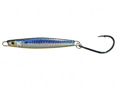 BLUE MACKEREL