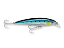 BLUE SARDINE