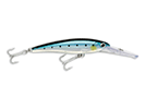 BLUE SARDINE
