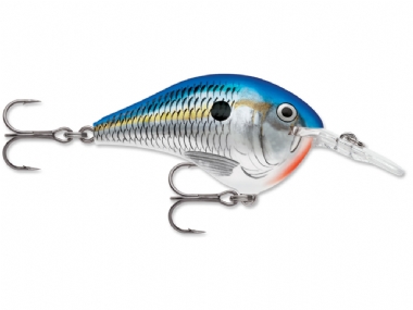 BLUE SHAD