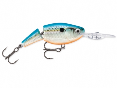 BLUE SHAD