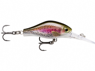 LIVE RAINBOW TROUT