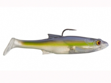 BLUEBACK HERRING