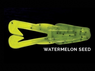 WATERMELON SEED