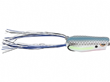 NASTY SHAD