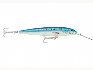 BLUE SARDINE