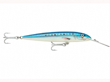 BLUE SARDINE