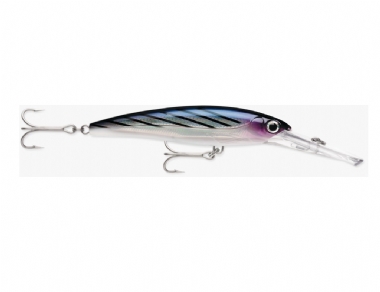 BONITO