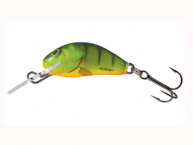 HOT PERCH