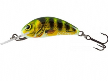 REAL IDNTITY PERCH