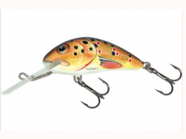 TROUT