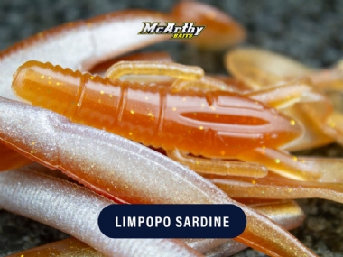 LIMPOPO SARDINE