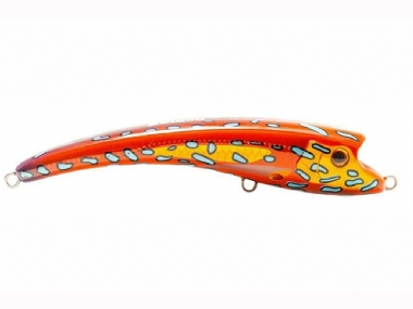 CORAL TROUT