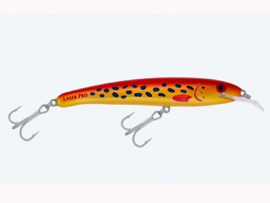 CORAL TROUT (R9)