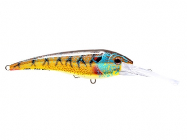 BLUEGILL