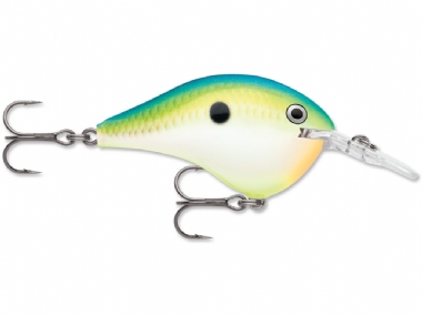 CITRUS SHAD