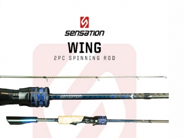 SENSATION WING