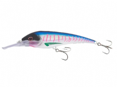 PINK MACKEREL
