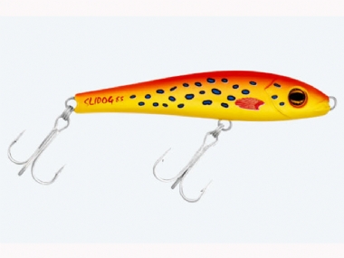 CORAL TROUT (R9)