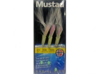 LUMINOUS HOKKAI TRACE