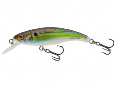 REAL HOLOGRAPHIC SHAD