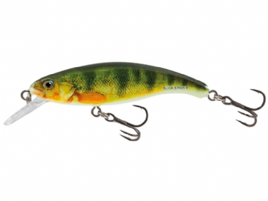 YOUNG PERCH
