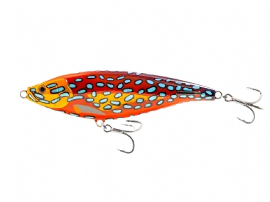 CORAL TROUT