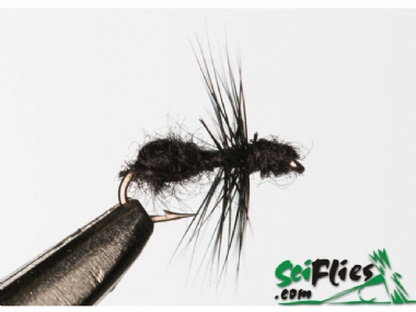 SCIENTIFIC FLY BLACK ANT