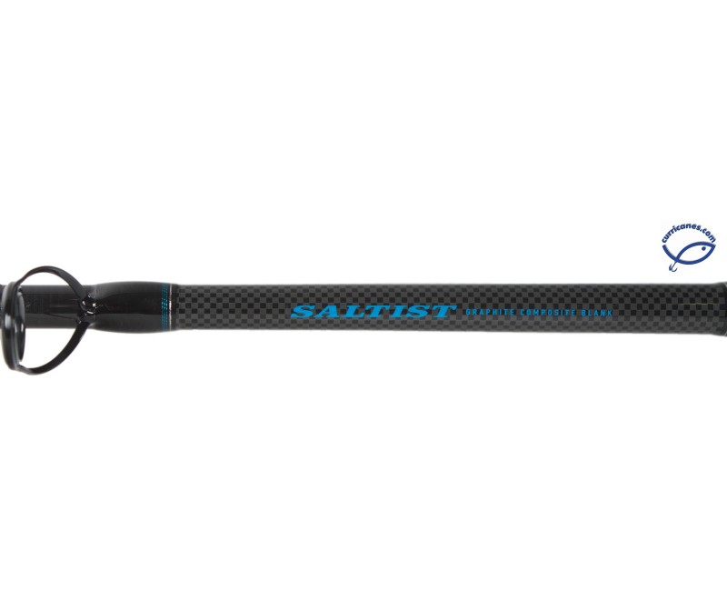 DAIWA SALTIST BOAT SERIES