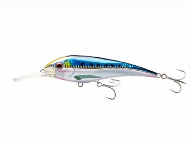 SARDINE