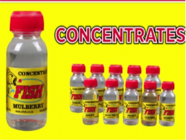 FISH CONCENTRATE 50ML