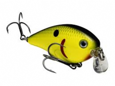 BLACK BACK CHARTREUSE