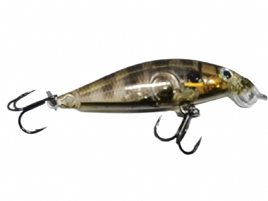 GLASSY GILL UV (GGIU) 