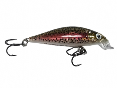 LIVE RAINBOW TROUT (RTL)