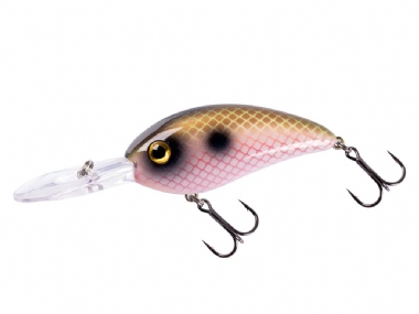 ELECTRIC SHAD