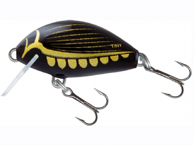 DIVING BEETLE