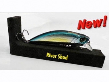 RIVER SHAD