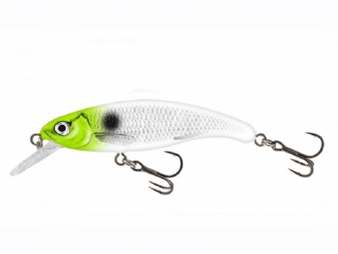 GREEN BONE FLASH