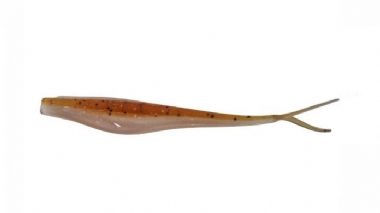 RIVER PRAWN
