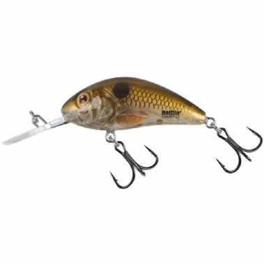 PEARL SHAD CLEAR