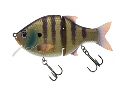 GREEN GILL (557)