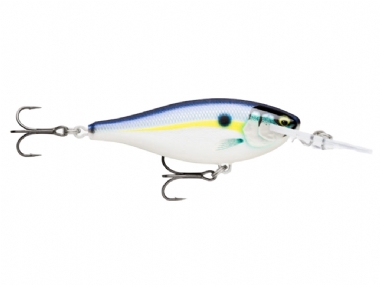 GILDED HELSINKI SHAD (GDHSD)