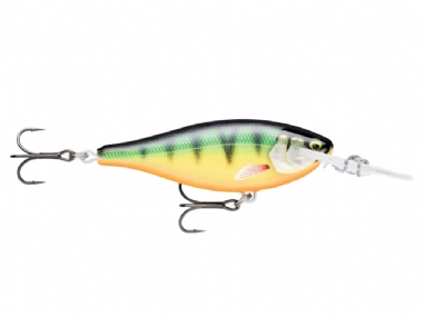 GILDED PERCH (GDP)