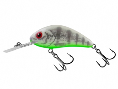 GHOST PERCH