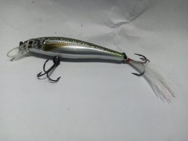 GREEN MACKEREL