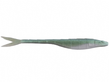 GREEN GIZZARD SHAD
