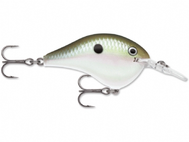 GREEN GIZZARD SHAD
