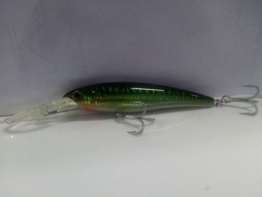 GREEN MACKEREL L20