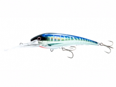 SPANISH MACKEREL