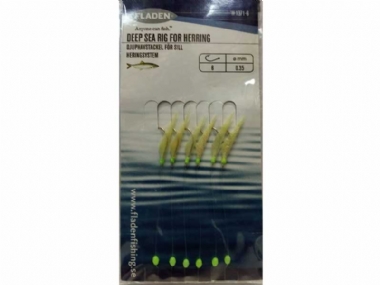 HERRING COLOR (6)